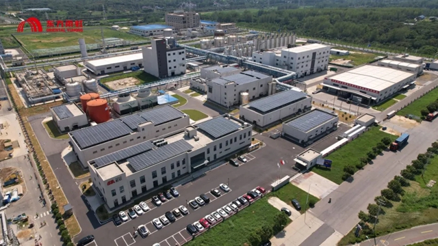 东方雨虹旗下虹石新材料斩获国际权威平台EcoVadis银牌评级