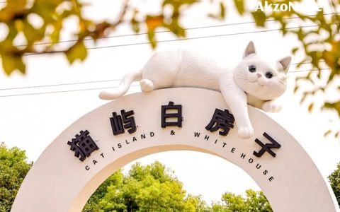 阿克苏诺贝尔 | 色彩“接力”，让温暖持续发生