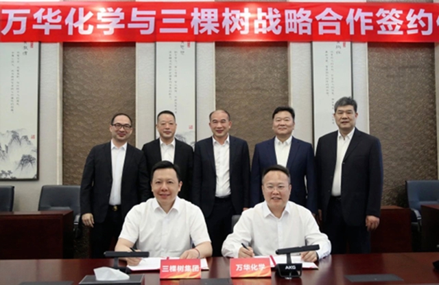 万华化学建筑涂料与防水材料落定,立邦/三棵树/北新入围