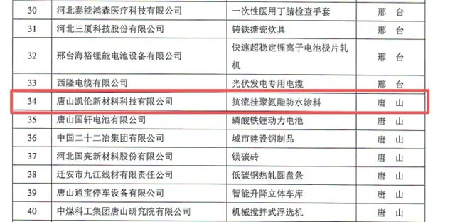 标杆凯伦 | 抗流挂聚氨酯荣获“河北省制造业单项冠军”！