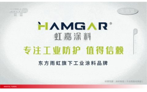 起跑即领跑，虹嘉登上央视舞台