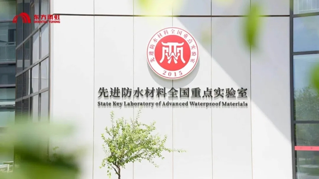 起跑即领跑，虹嘉登上央视舞台